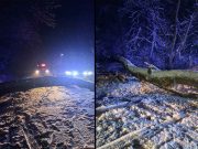 Copaci căzuți pe drum | Pompierii au intervenit în Mediaș, Șaroș, Biertan și Brateiu copaci au blocat drumurile din zona Mediaș