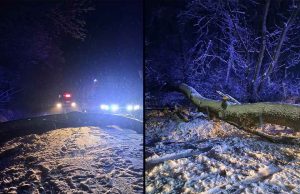 Copaci căzuți pe drum | Pompierii au intervenit în Mediaș, Șaroș, Biertan și Brateiu copaci au blocat drumurile din zona Mediaș