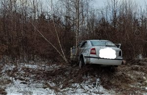 Autoaccident | 3 răniți după ce un autoturism a ieșit în decor | Foto
