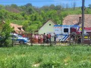 Bărbat în comă după un accident cu căruța: a intrat într-un stâlp și a fost târât de cal | VIDEO