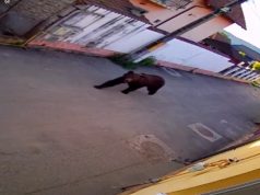 Urs suprins în timp ce se plimba în Dumbrăveni | VIDEO