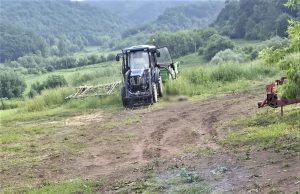 Bărbat de 34 ani ucis de un urs la Prod | Foto
